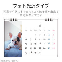 エレコム 手作りカレンダーキット インクジェット フォト光沢紙 壁掛けタイプ A4横 EDT-CALA4WK 1個