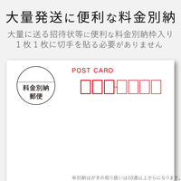 エレコム 料金別納ハガキ スーパーファイン紙(100枚入) EJH-BH100 1個（直送品）