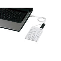 バッファロー スリムテンキーボード USB2.0ハブ（2ポート）/Tabキー付き 有線 パンタグラフ ブラック BSTKH08BK 1台（直送品）