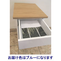 【アウトレット】吉桂 HIKE デスクサイド シェルフ W370×D500×H720mm BL 1台（直送品）