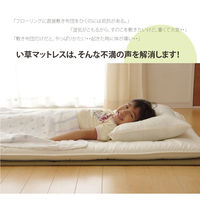 イケヒコ・コーポレーション い草マットレス 約100×210cm シングル 1110830011738 1枚