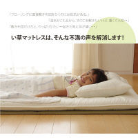 イケヒコ マットレス セミダブル 三つ折り い草 置き畳 国産 『い草マットレス』 約120×210cm （裏：不織布） 1枚（直送品）