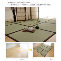 イケヒコ い草 置き畳 ユニット畳 国産 半畳 単品 『かるピタ』 約82×82cm （裏：すべりにくい加工） 1枚（直送品）