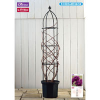 タカショー G-story オベリスク GSTR-RC14 1個