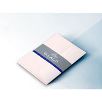 G.LALO（G.ラロ） ヴェルジェ・ド・フランス カード・封筒セット ストレートエッジ シャンパン 5セット（各15枚：各3枚×5）（直送品）