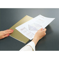 コクヨ（KOKUYO） クリヤーホルダー＜カラーズ＞A4 レモンイエロー フ-C750-2 1セット（100枚）（直送品）