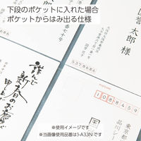 コクヨ A4リフィル 縦2穴 2ポケット 10枚 ラ-A22N 1セット(100枚:10枚入×10パック)