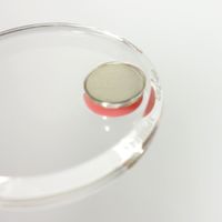 コクヨ カラーマグネット 強力タイプ クリヤー 直径30mm 約9枚保持 ピンク マク-T30NP 1セット（20個：2個入×10パック）