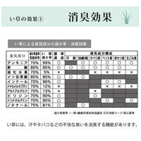 【車上渡し】SEKI い草健康チェア ブラック コンパクト 245068 1脚（直送品）