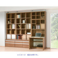 フナモコNEW LATTICE（ニューラチス/ハイタイプシェルフ） エリーゼアッシュ 幅1096×奥行297×高さ1800mm FBA-110T 1台（直送品）