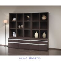 【軒先渡し】フナモコ NEW LATTICE 　ローチェスト　 エリーゼアッシュ 幅1096×奥行448×高さ476mm FLA-110S 1台（直送品）