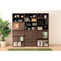 アイリスオーヤマ Collanシリーズ フラップラック 扉1段棚2段 ブラウン 幅590×奥行409×高さ836mm CHR-1 1台（直送品）