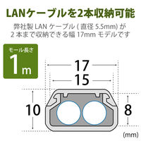 エレコム フラットモール(木目調)1 LD-GAF1/WD 1本