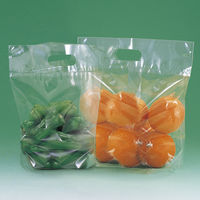 ササガワ スタンドパック 大 50-3910 1包(100枚入)