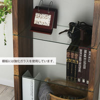 B.Bファニシング SAND（サンド） 3段ラック ブラウン 幅600×奥行280×高さ1015mm SNR-60BR 1台（直送品）