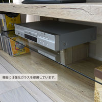 B.Bファニシング SAND（サンド） テレビ台 ホワイト 幅1200×奥行400×高さ390mm SNTB-120WH 1台（直送品）