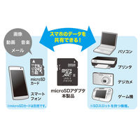 サンワサプライ microSDアダプタ ADR-MICROUH2 1個