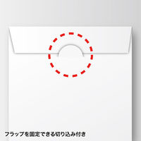 サンワサプライ DVD・CDペーパースリーブケース FCD-PS50WN 1セット(50枚入)（直送品）
