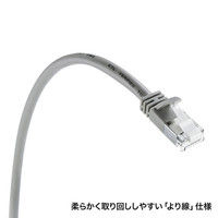 サンワサプライ ツメ折れ防止カテゴリ5eSTP LANケーブル 1m  ライトグレー KB-STPTS-01（直送品）