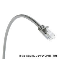 サンワサプライ ツメ折れ防止カテゴリ5eSTP LANケーブル KB-STPTS-02 1個