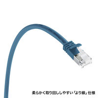 サンワサプライ ツメ折れ防止カテゴリ5eSTP LANケーブル KB-STPTS-07BL 1個