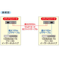 サンワサプライ 光メディアコンバータ LAN-EC202C 1個（直送品）