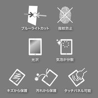 サンワサプライ iPad Air 2用ブルーライトカット液晶保護指紋防止光沢フィル LCD-IPAD6BC 1枚