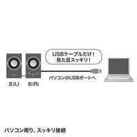 サンワサプライ USBスピーカー(ブラック) MM-SPU7BK 1セット