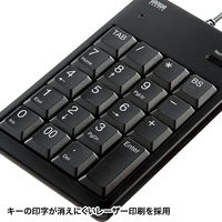 サンワサプライ USBテンキー NT-16UBKN 1個