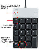 サンワサプライ USB2.0ハブ付テンキー 簡易パッケージ 有線 メンブレン ブラック NT-17UH2PKN 1個（直送品）