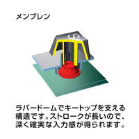 サンワサプライ PS/2キーボード SKB-L1 1個（直送品）
