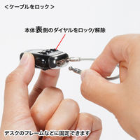 サンワサプライ USBメモリセキュリティ ブラック SL-69 1個