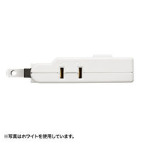 サンワサプライ スイングミニタップ TAP-AC10BK 1個