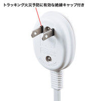 サンワサプライ プラス1個口便利タップ ホワイト 2P式 10m TAP-B9-10N 1個（直送品）