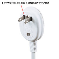 延長コード 電源タップ 2m 2P（ピン） 4個口 ホワイト TAP-B9-2N サンワサプライ 1個