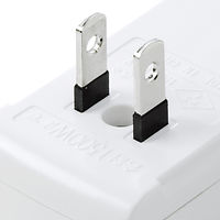 サンワサプライ 雷ガード ホワイト 2P式 3個口 TAP-SP205 1個（直送品）