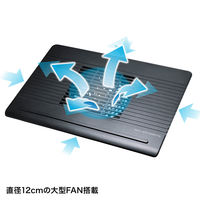 サンワサプライ ノート用クーラーパッド 12インチワイド～15.6インチワイド対応 TK-CLN21U 1個