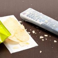 サンワサプライ マルチリモコンカバー(Lサイズ) TVDCV-RC2 1個