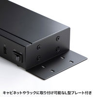 サンワサプライ USB2.0 10ポートハブ USB-2HCS10 1個