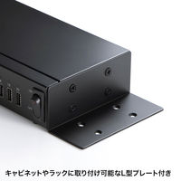 サンワサプライ USB2.0 20ポートハブ USB-2HCS20 1個