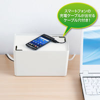 サンワサプライ ケーブル&タップ収納ボックス CB-BOXP1WN2 1個