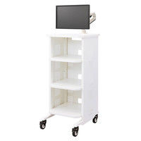 サンワサプライ マルチ収納ラック RAC-ML6614 幅600×奥行700×高さ1400mm 1台（直送品）