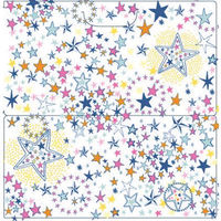 フィルムルックス 抗菌マスクケース 54019 1セット（4種アソート×4枚入）（直送品）