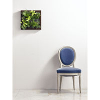 トヨタサントリーミドリエ MIDORIE DESIGN（ミドリエデザイン）観葉植物 グリート ブラウン17A4 1個（直送品）