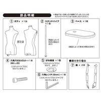 ストア・エキスプレス 婦人腕付き芯地張ボディ 9号 木調 8007-12095（直送品）