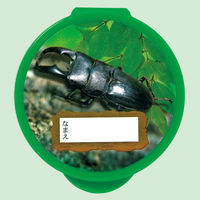 ヤマト KM-100 こうさくのり虫シリーズ 1セット(6個)