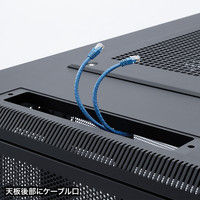サンワサプライ 観音扉19インチマウントサーバーラック（36U） CP-SVCKAN36U 幅600×奥行1100×高さ1795mm 1台（直送品）