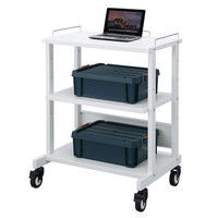 サンワサプライ マルチカート RAC-MULTCT3 幅800×奥行600×高さ1048mm 1台（直送品）