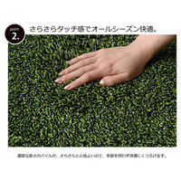 イケヒコ ラグ 3畳タイプ 洗える 『ノベル』 オレンジ 約200×250cm すべりにくい裏地加工 3964429 1枚（直送品）