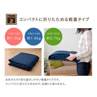 イケヒコ・コーポレーション コルムGN約200×250cm 1291300000000 1枚